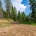 What makes a strong homesite
