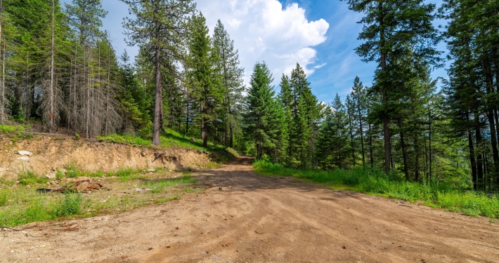 What makes a strong homesite