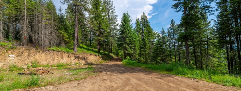 What makes a strong homesite